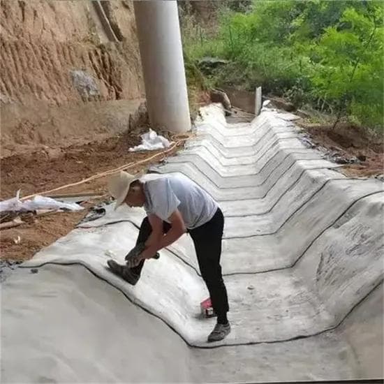 Prepare the ground